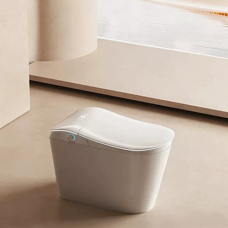 Slim toilet met ingebouwd waterfilter en voetbediende spoeling