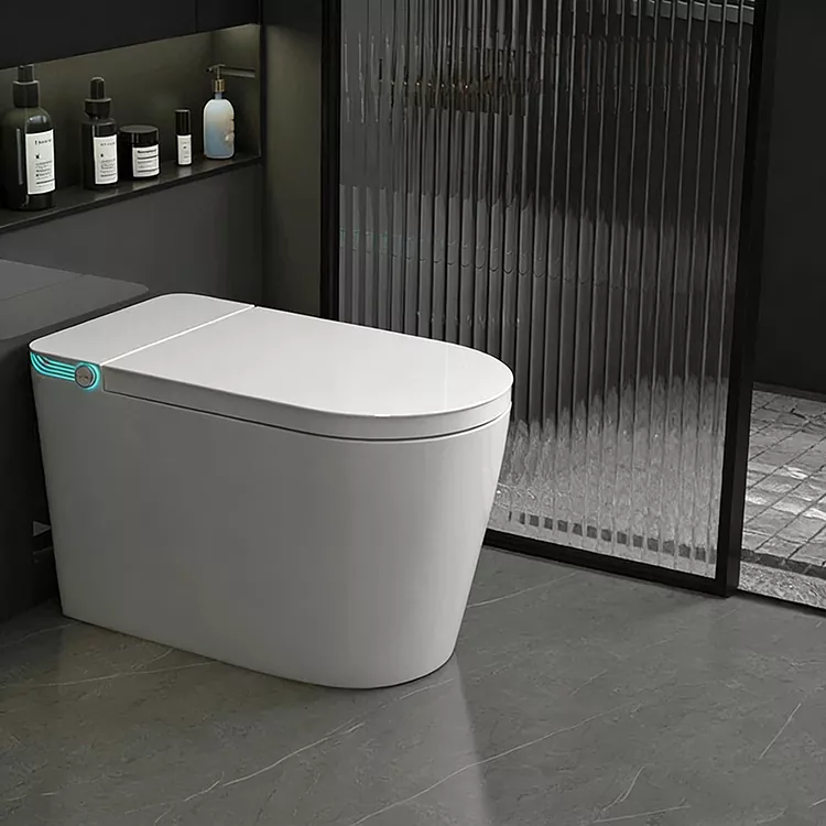 Draadloos op afstand bedienbaar sproeimondstuk Sterilisatie Slim toilet